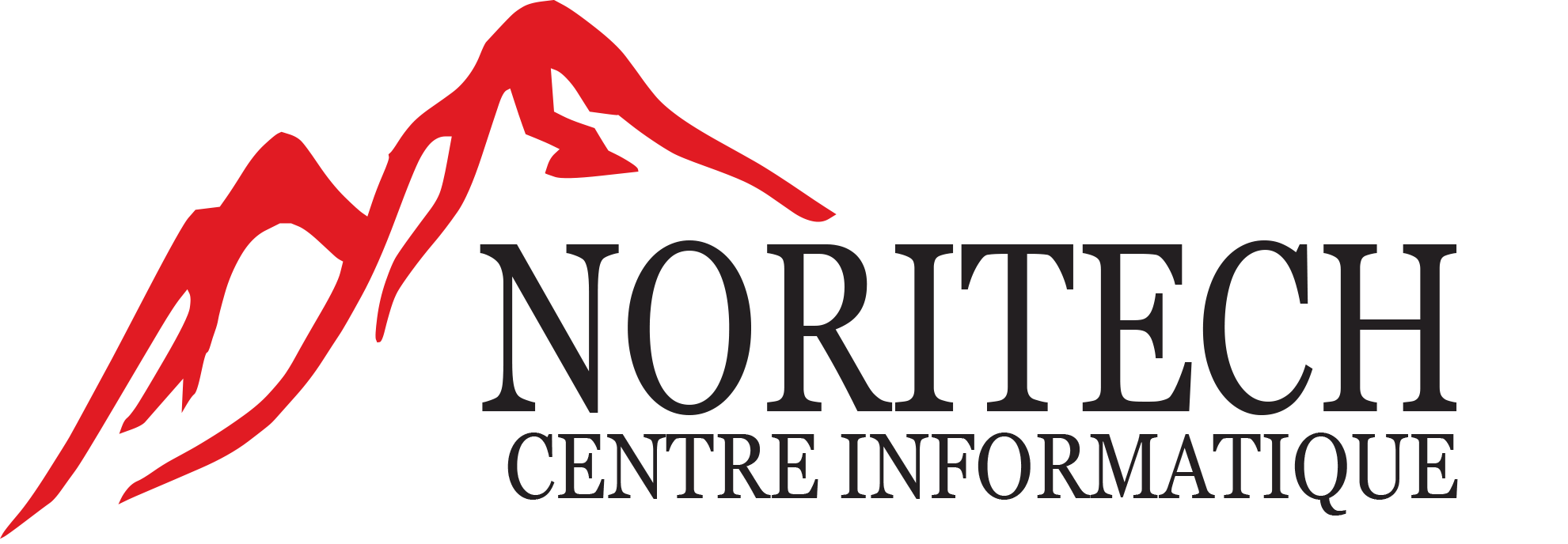 Noritech WEB